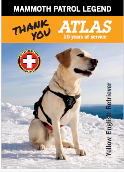 MAMMOTH PATROL LEGENDS DOG -ATLAS - Image 3