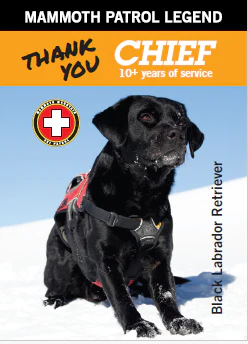 MAMMOTH PATROL LEGEND DOG -- CHIEF - Image 4