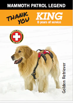 MAMMOTH PATROL LEGEND DOG -- KING - Image 2