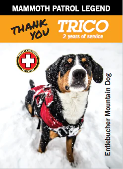 MAMMOTH PATROL LEGENDS DOG -- TRICO - Image 2