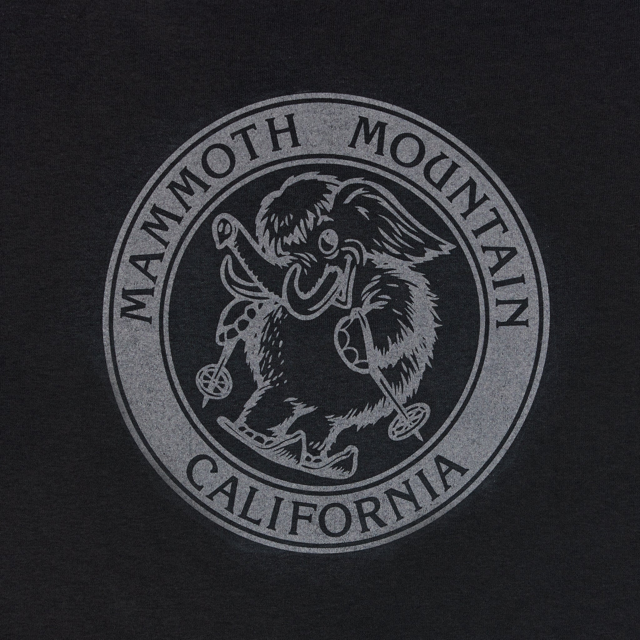 SKI WOOLLY YOUTH SS TEE - Image 3