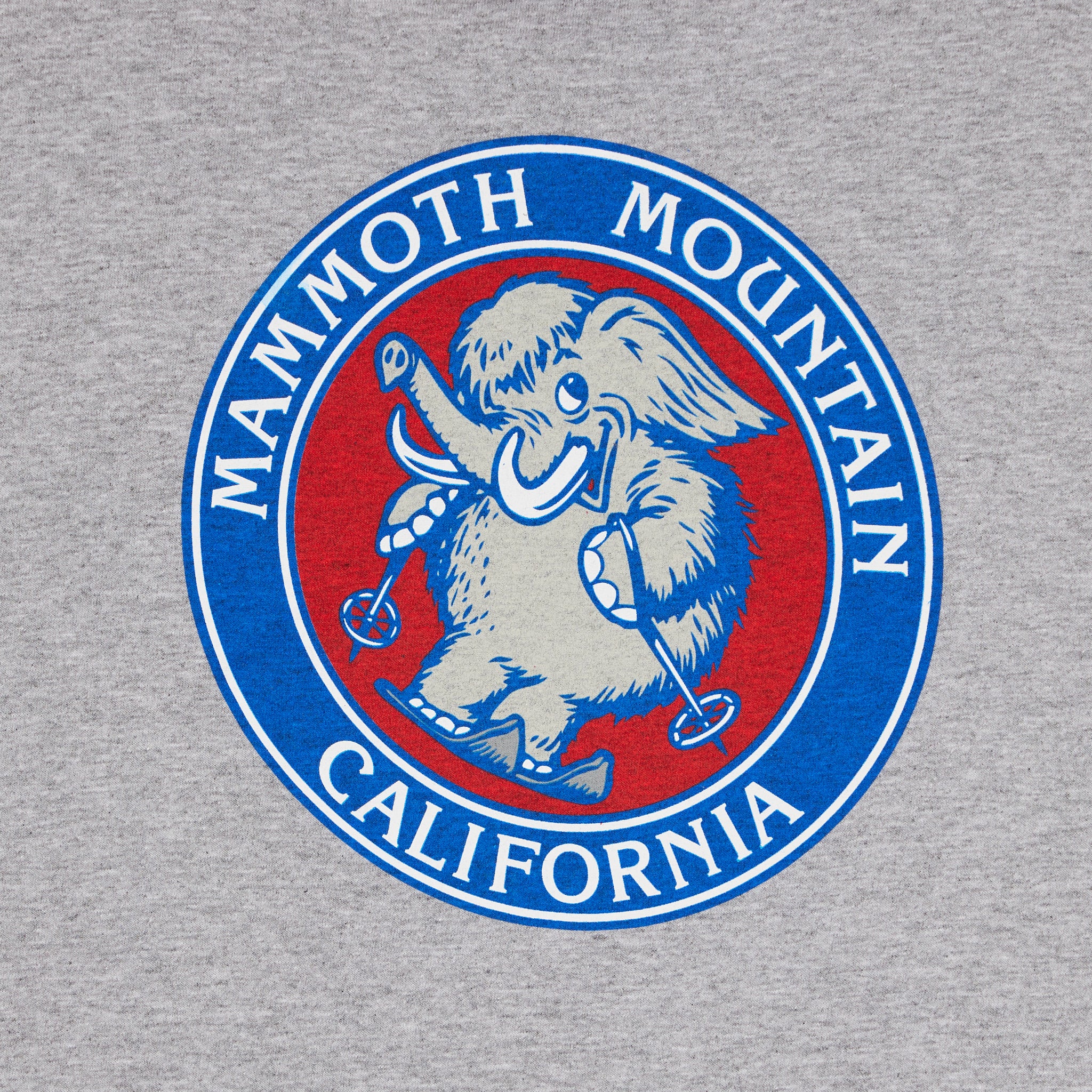 SKI WOOLLY YOUTH SS TEE - Image 6