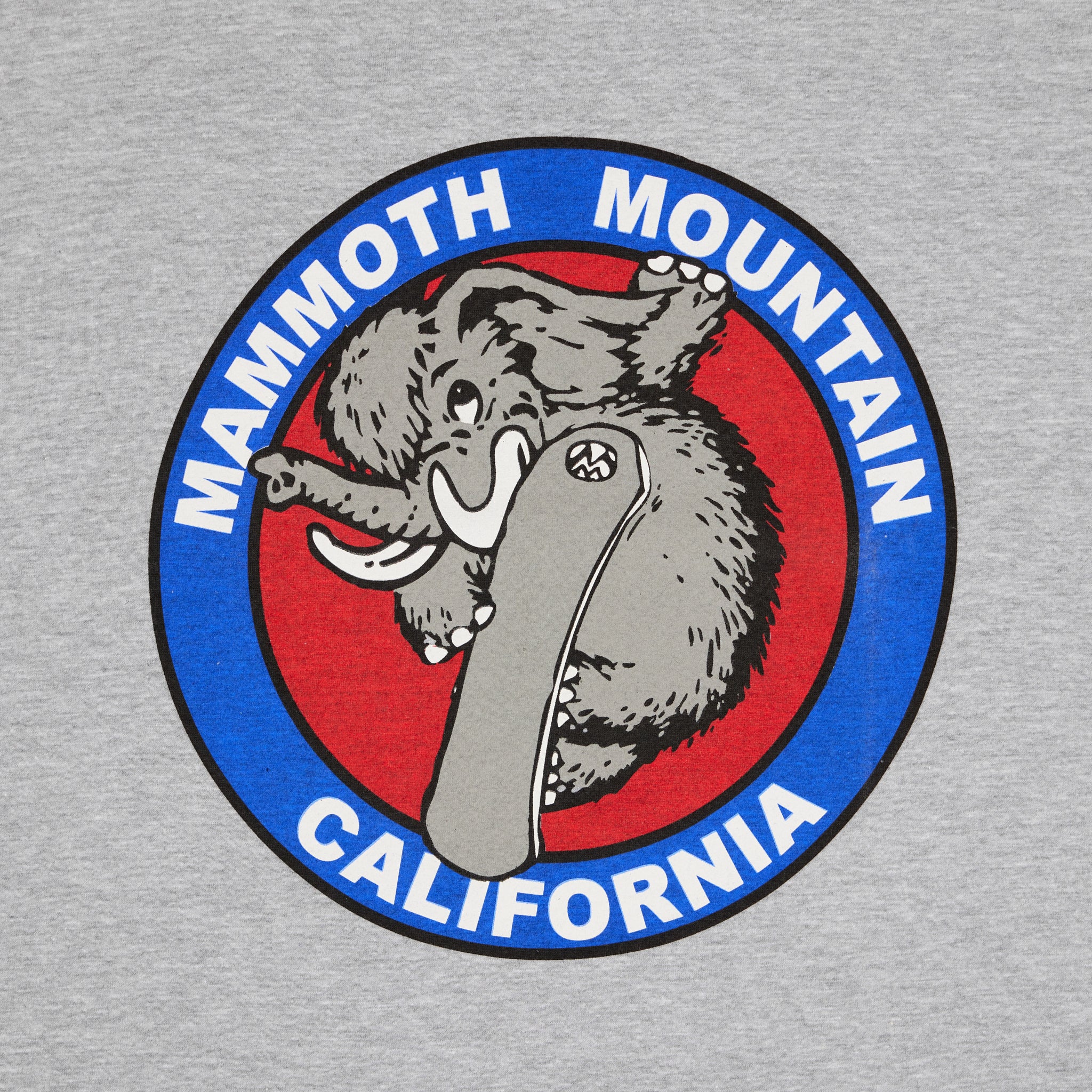 SB WOOLLY YOUTH SS TEE - Image 6